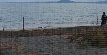 В Болгарии обнаружили обломки дрона неизвестного происхождения: какова реакция людей, — медиа (фото, видео)