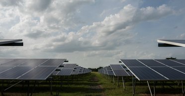 В ЕС призывают "отказаться" от солнечных панелей: виноваты производители из Китая