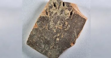 Кішка з Єрусалима залишила свій слід в історії: вона "замісила тісто" 1200 років тому