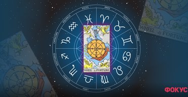 Раки, Девы и Тельцы: Таро-прогноз событий в период осеннего коридора затмений 2024 для всех знаков