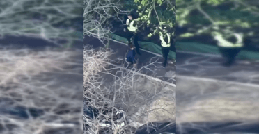 В Киеве полицейские сбежали во время теракта, услышав выстрелы: МВД отреагировало на инцидент