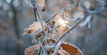 На Европу обрушился самый холодный январь за 16 лет: остальная часть планеты продолжила закипать