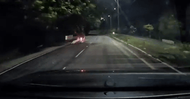 Мотоциклист избежал встречи с хищником из леса: как мужчине удалось выжить (видео)