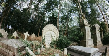 Что нельзя делать на кладбище, чтобы не навлечь на себя беду: суеверия и поверья