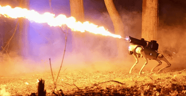 Зможе купити будь-хто: у продаж надійшов собака-робот, що випускає вогонь (відео)