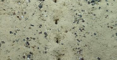 Поразили всех. На дне Атлантического океана обнаружили загадочные дыры (фото)