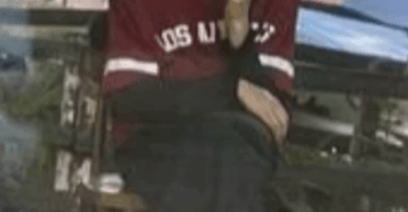 Убийство Фарион готовилось по меньшей мере месяц: СМИ узнали основную версию следствия