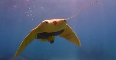 Китай розробляє біоміметичні підводні апарати для військової розвідки