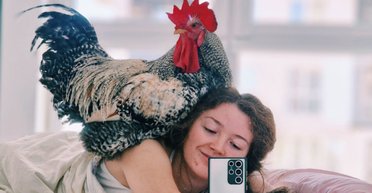 Домашний любимец: украинка держит петуха в доме вместо кота или собаки (видео)