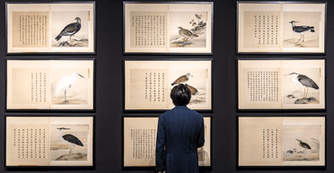 Сім'я дізналась, що їхні домашні картинки на стінах коштують 43 мільйони гривень (фото)