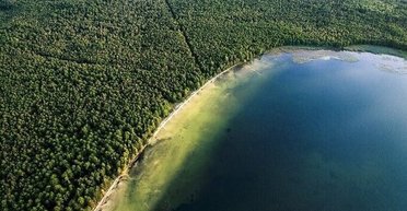 В Украине есть уникальное "озеро молодости": почему здесь стоит отдохнуть и как доехать (фото)