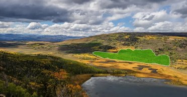 Найбільший живий організм на Землі є і найстарішим: що з'ясували вчені (фото)