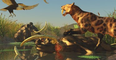 Жить как в плиоцене. На что была похожа Земля времен глобального потепления 3,3 млн лет назад