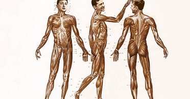 Главный пациент. Чем болеют украинские президенты и кто их доктора