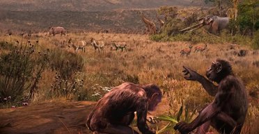 Перша прямоходяча людиноподібна мавпа з'явилася не в Африці: все змінила стегнова кістка