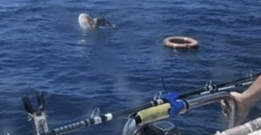 На Тайване мужчина почти сутки пробыл в море на надувном круге (фото)