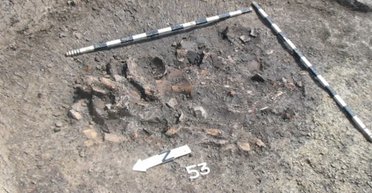 Переработка мусора в эпоху неолита: что археологи нашли в "мусорных баках" древних людей