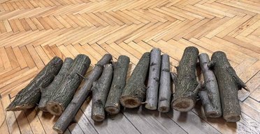 У Дніпрі на аукціон виставили 12 конфіскованих полін