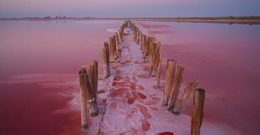 Лемурійське озеро. Мертве море рожевого кольору на Херсонщині
