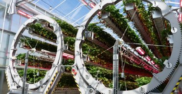 Як футуристична сфера Дайсона, тільки з полуницею: роботи взялися вирощувати ягоди (відео)