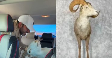 Вважала "божевільним": дівчину здивувала покупка тестя, а потім вона дізналася про її цінність