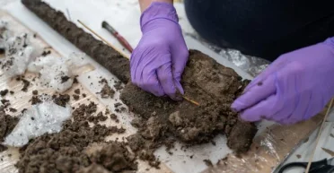 Уникальная находка: археологи обнаружили органический артефакт возрастом 3500 лет (фото)