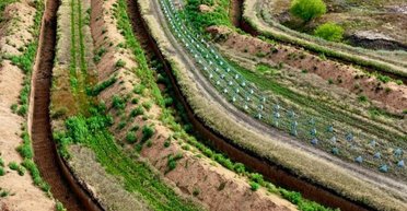 Армия РФ ежемесячно теряет до тысячи военных на инженерных заграждениях, — ВСУ