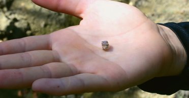 Жінка подумала, що змахує павутину, а знайшла діамант за $27 000 (фото)