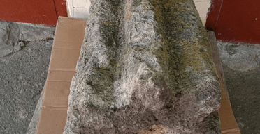 Тероборонівець знайшов столітній предмет та передав експонат до краєзнавчого музею (фото)