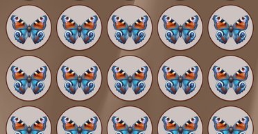 Хто знайде відмінність за 40 секунд: головоломка з метеликами для конкурентів Шерлока Холмса