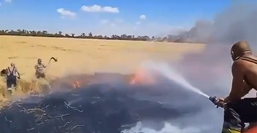 Россияне намеренно поджигают украинские леса: в МВД назвали причину (видео)