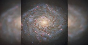 Волосся цариці Стародавнього Єгипту: отримано знімок галактики, що виблискує коштовностями (фото)