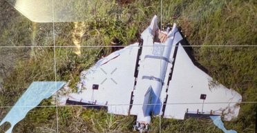 В Литве упал российский дрон со взрывчаткой: БПЛА запускали из Беларуси, — СМИ