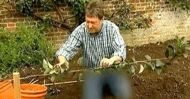 Цензура на культуру: на телебаченні КНДР приховали джинсові штани британського ведучого (відео)