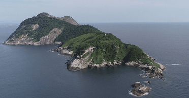 "Зміїний острів": смертельна зона, куди заборонено ступати людині (відео)