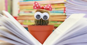 Как закалялись США. 5 романов, которые нужно прочитать в августе