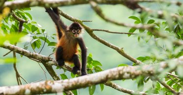 Спасибо предкам. Ученые узнали, почему люди так сильно любят алкоголь