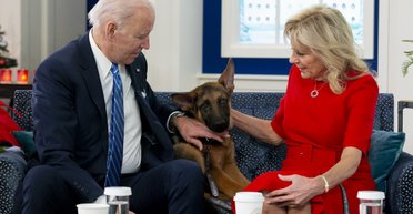 Офицеру потребовалась помощь медиков: собака Байдена снова укусила человека