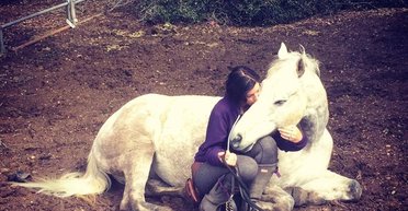 Вигульниця собак із Великої Британії врятувала 100 коней під час пожежі в Лос-Анджелесі