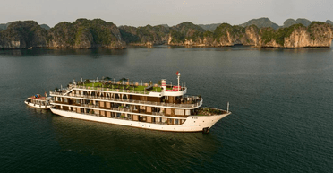 Медовий місяць із підступом: невелика хитрість зробила пару знаменитою в мережі (відео)