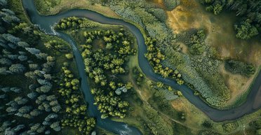 Біда прийшла звідки не чекали: 18 найбільших річкових дельт Землі несподівано почали просідати