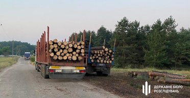 Гослесагентство и ГП "Леса Украины" блокируют экспорт деревянных изделий – деревообработчики пожаловались в ОПУ и Правительство