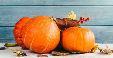 Хоккайдо, мускатная или тыква спагетти: какой вид тыквы самый полезный для здоровья