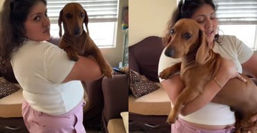 Вражає розмірами: дівчину запевняли, що пес "залишиться маленьким", але він продовжує рости