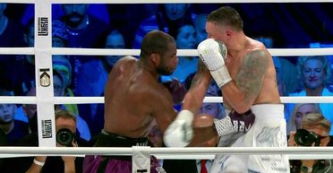 Бой Усик — Дюбуа: кто может победить в реванше, ставки известных боксеров