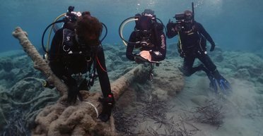 Біля берегів Греції знаходять затонулі кораблі: археологи відшукали підказки в "Іліаді" Гомера