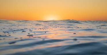 К 2100 году поверхность океана может кардинально ухудшиться, - ученые