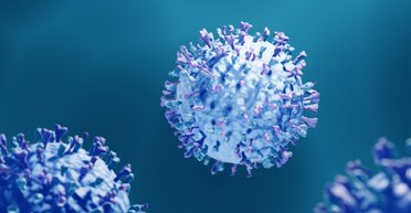 Один из самых распространенных вирусов лежит в основе волчанки: ученые выявили связь