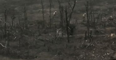 Спецоперация "Говерла": бойцы ССО выбили российских десантников с господствующей высоты (видео)