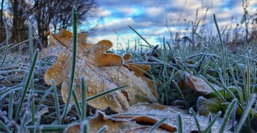 Погода в Украине: мощный антициклон принесет заморозки, на выходных погода ухудшится